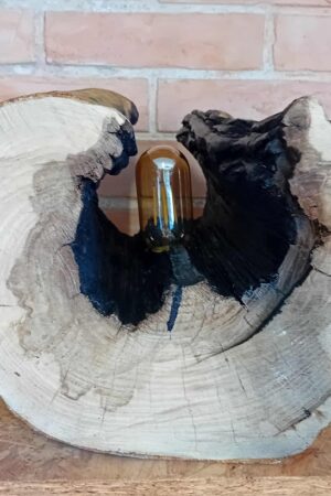 Lampa z wydrążonego pnia